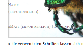 bild-2.png